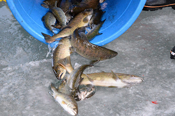 산천어 얼음낚시하려 오세요