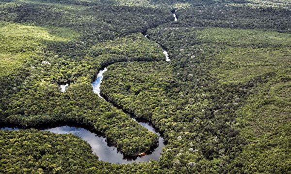 亚马逊雨林