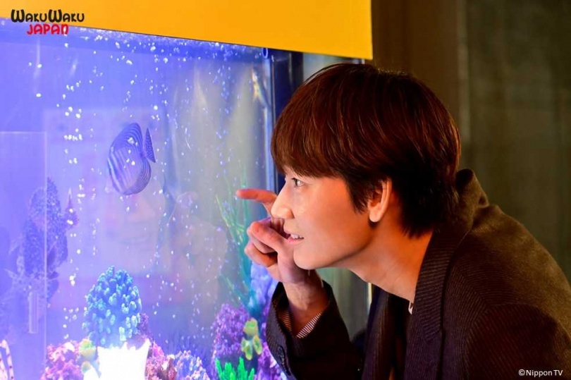 &nbsp; 绫野刚剧中饰演财团富二代，与石原聪美相遇后坠入情网。 （图／WAKUWAKU JAPAN提供）